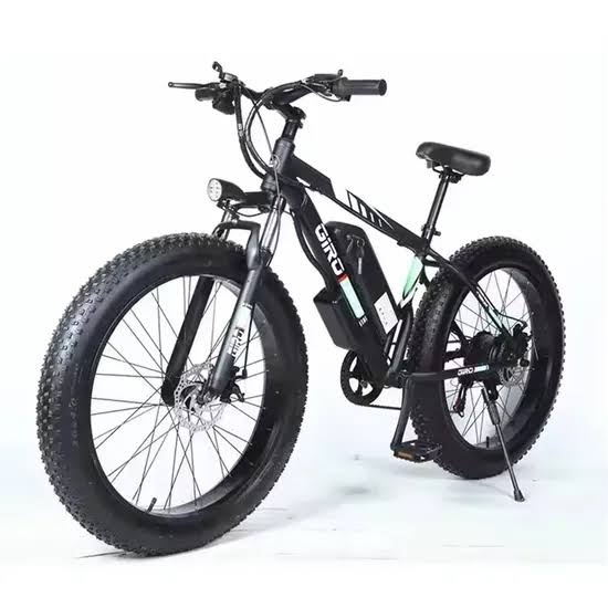 Fat-Tire All-Terrain E-Bikes for Winter and Snow: The Complete 2026 Guide