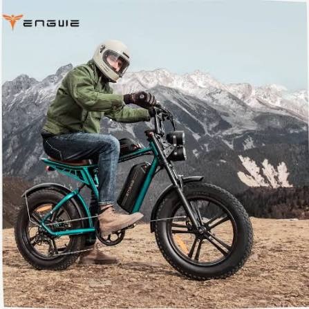 Rider on a teal fat-tire electric bike in the mountains
